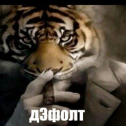 лечу к хайтабу