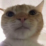 发誓要掏老庄一百万