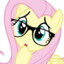 fluttershy