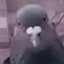 Ricco02