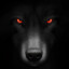 ✠ Wolf ✠AnimalMother
