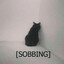 Sobbing cat