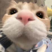 宇宙无敌暴龙战士