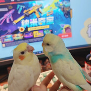 对不良诱惑勇敢说ALL IN