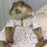 Defloration - steam id 76561198097689841