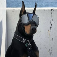 DOGBLACK