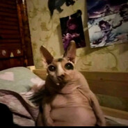 𝓟𝓐𝓒𝓞𝓢𝓣