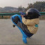 hao11