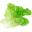 Salade