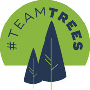 #teamtrees