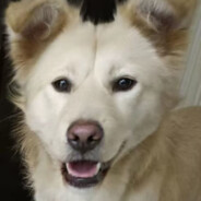 当时只道是寻常.