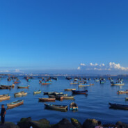 内蒙古保罗乔治