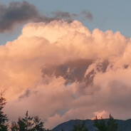 不考清华烤地瓜