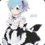 REM