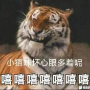 她求我别塞冰块