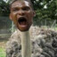 CHRIS BOSH