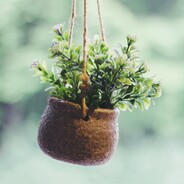 睡着的时候不困