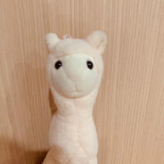 想和艾许小姐一起姓艾