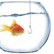 император spk офиц