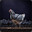 Sir Cluckington V