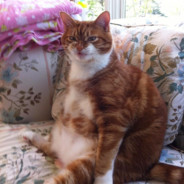 PizrixenNy&JendBj⛟