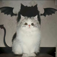 我也曾是她的偏爱