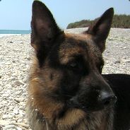 ARNOLD - steam id 76561197960718356