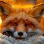 FireFoxFfr