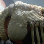 mQx. - steam id 76561197965622741