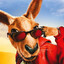 Kangaroo Jack