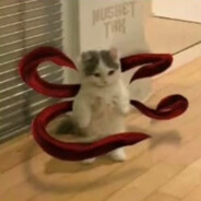 yoku666
