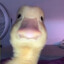 Mr_Duck