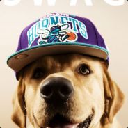 ^2[Norway]wrekt by dog