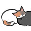 猫猫斜你一眼