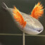 fireflashwind
