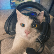 whytowerfall avatar