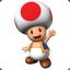 toad_004
