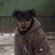 читы на гвинт