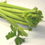 Celery