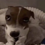 Manzala's avatar