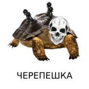 ЛёХа_ЧеРеП