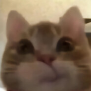 我也不知道叫什么