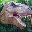 Tyrannosaurus Rex