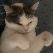 恁这瓜多钱一斤呢