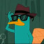 Perry The Platypus