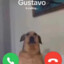 Gustavo.