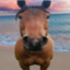 neutral horse