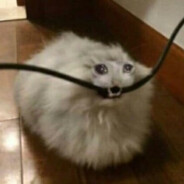 RTF_Саня_Жесткий