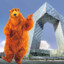 Bear in the Big Koolhaas