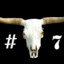 Bull_#7